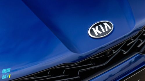 年度汽車可靠性排名生變，銷量王者緣何淪為質量洼地？